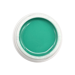 #040 Pastellgrün 5ml - NAM24 Farbgel Pastell